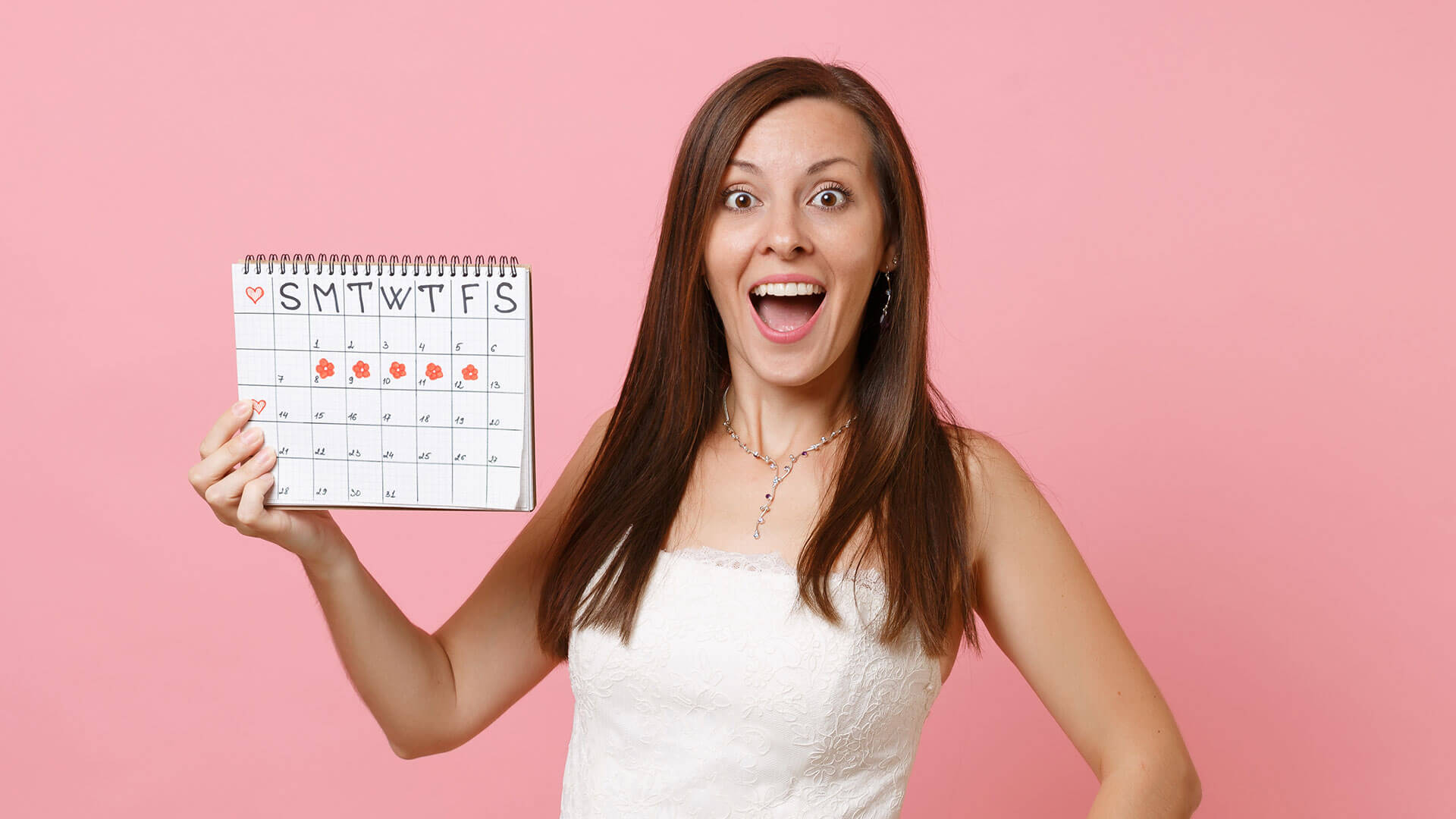 pregnancy due date calculator intro